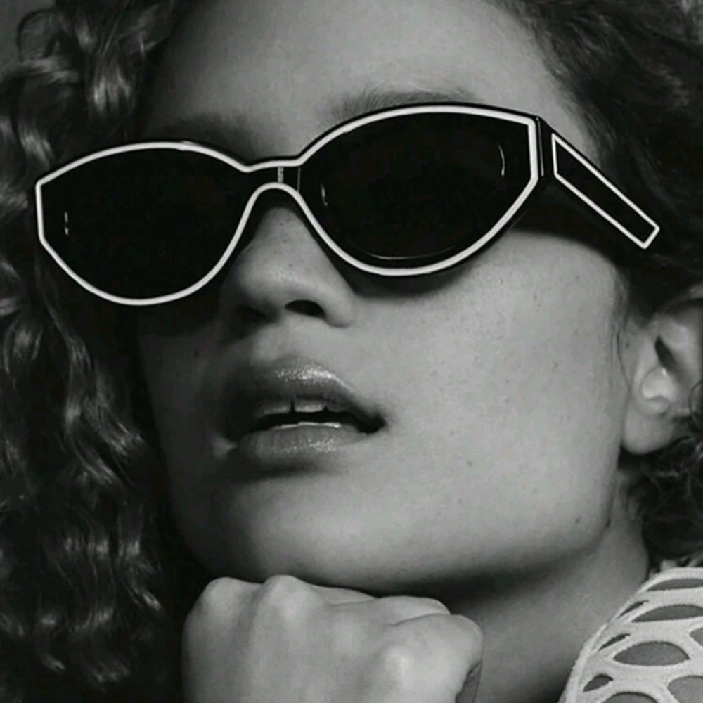 Chic Black and White Sunglasses EUC